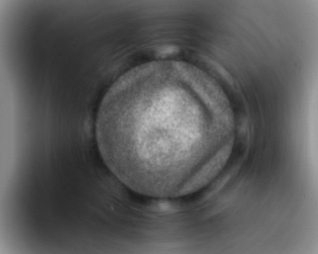 X0000091940565200709261934