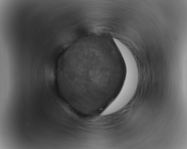 X0000091940566200709261934