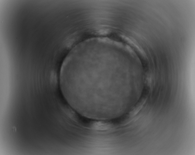 X0000091940568200709261934