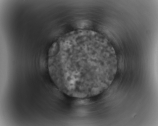 X0000091940569200709261934