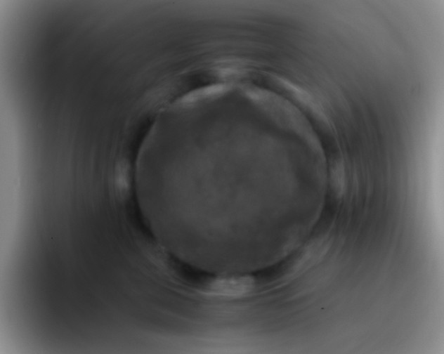 X0000091940571200709261934