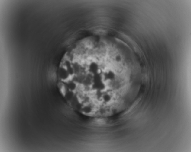 X0000091940573200709261934