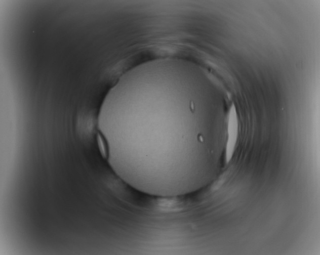 X0000091940574200709261934