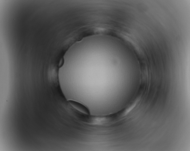 X0000091940575200709261934