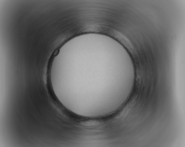 X0000091940578200709261934