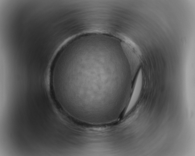 X0000091940580200709261934