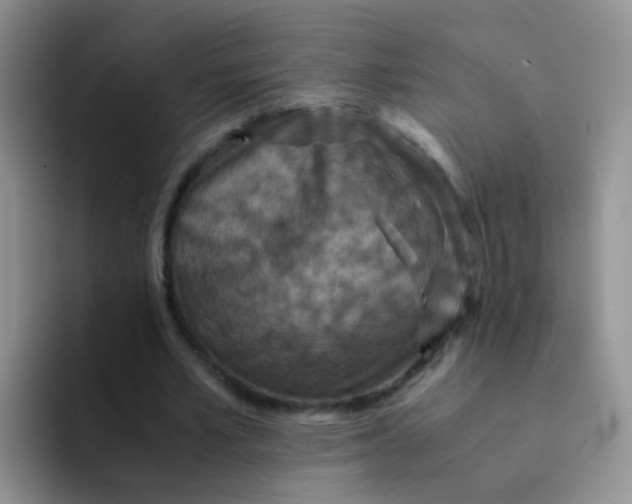 X0000091940581200709261934