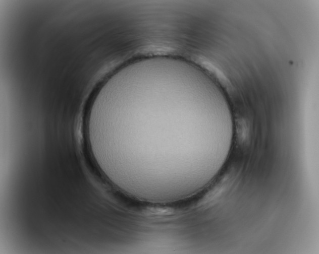 X0000091940582200709261934