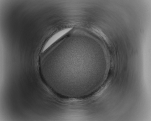 X0000091940585200709261934