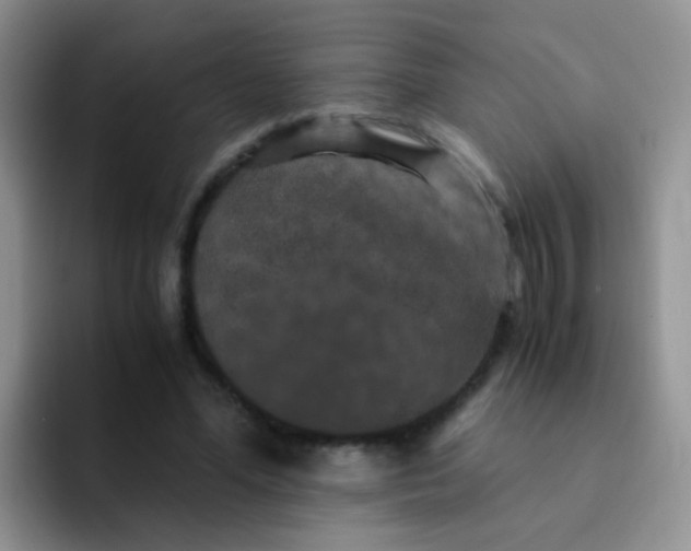 X0000091940588200709261934