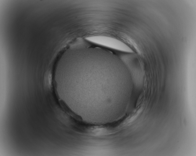 X0000091940589200709261934