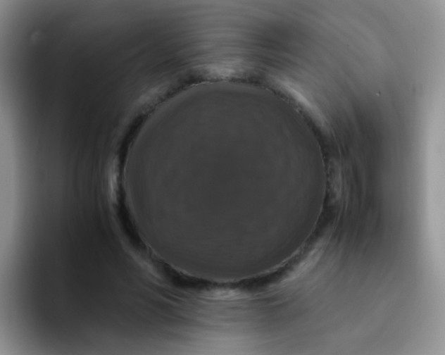 X0000091940590200709261934