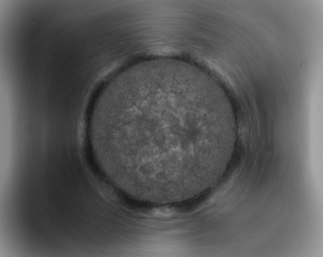 X0000091940591200709261934