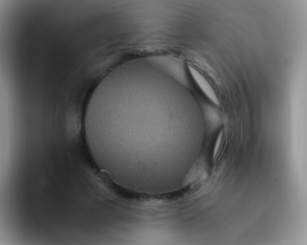 X0000091940593200709261934