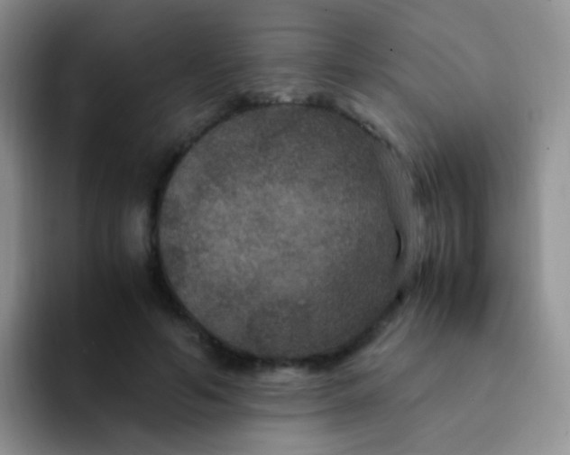 X0000091940594200709261934