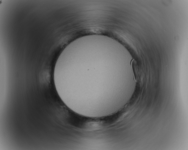 X0000091940595200709261934