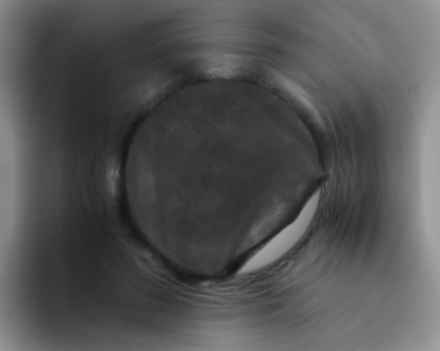 X0000091940596200709261934