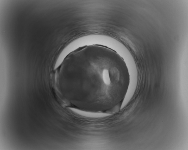 X0000091940597200709261934