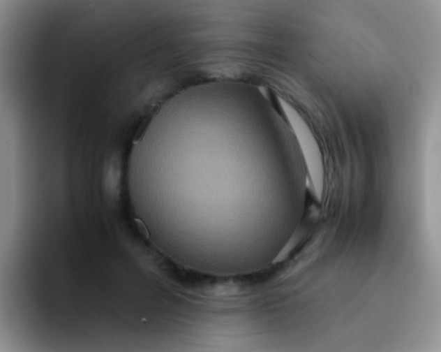 X0000091940600200709261934