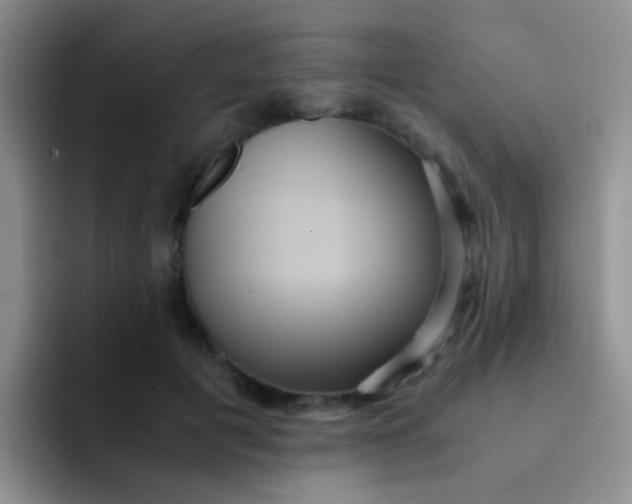 X0000091940601200709261934