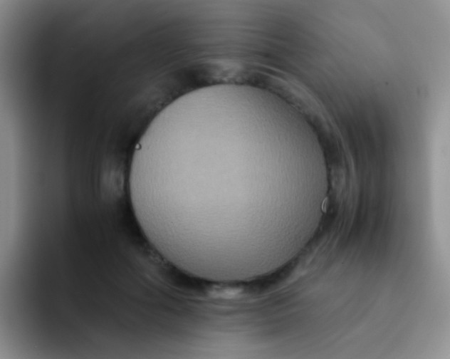 X0000091940602200709261934