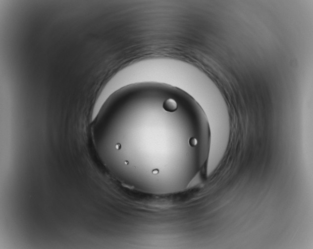 X0000091940604200709261934