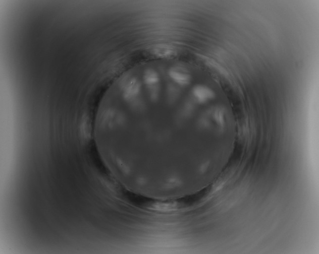 X0000091940606200709261933