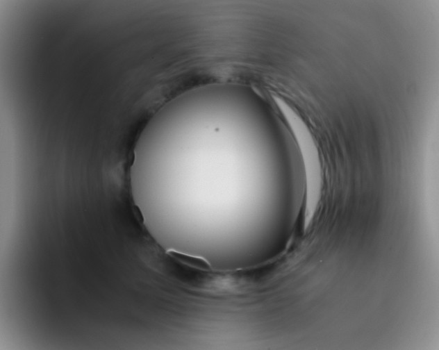 X0000091940611200709261933