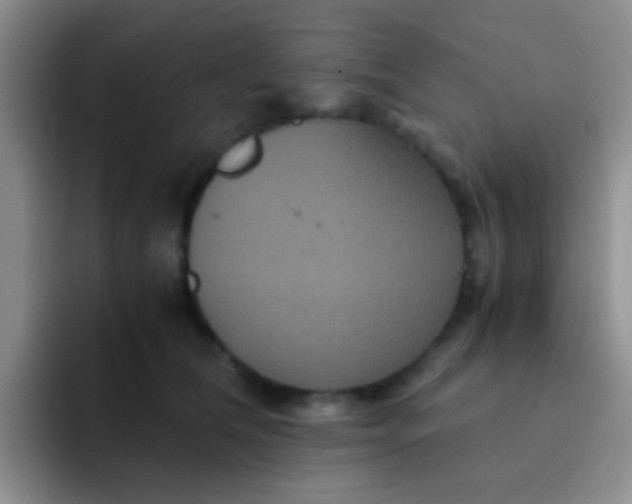 X0000091940612200709261933