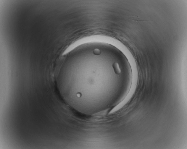 X0000091940613200709261933