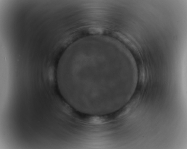 X0000091940616200709261933