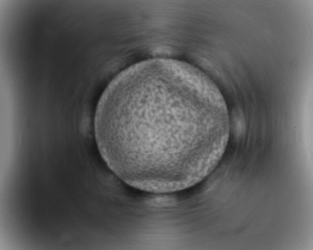 X0000091940619200709261933