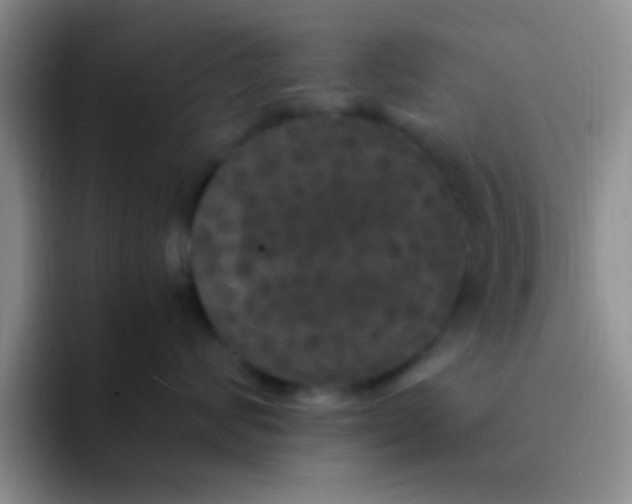 X0000091940624200709261933