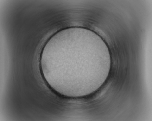 X0000091940625200709261933