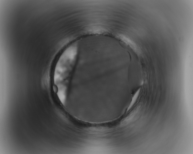 X0000091940630200709261933