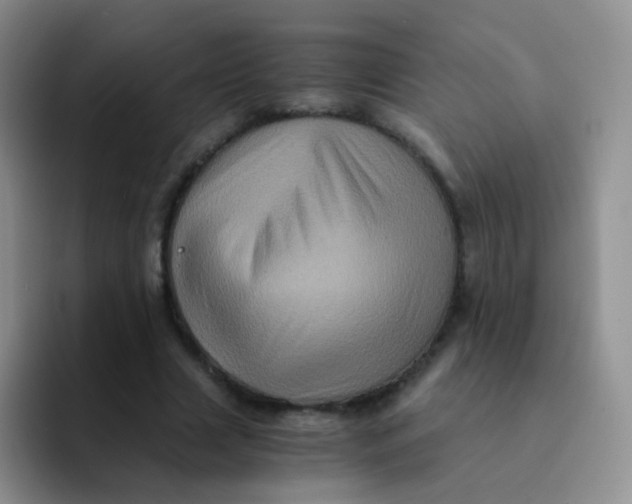 X0000091940633200709261933