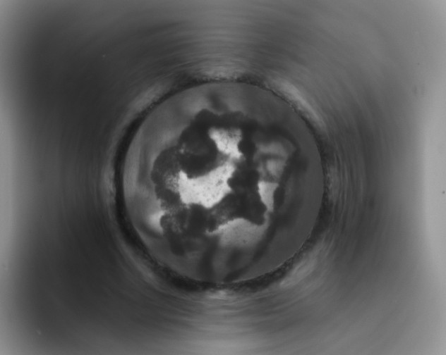 X0000091940634200709261933