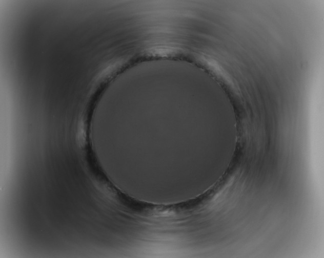 X0000091940640200709261933