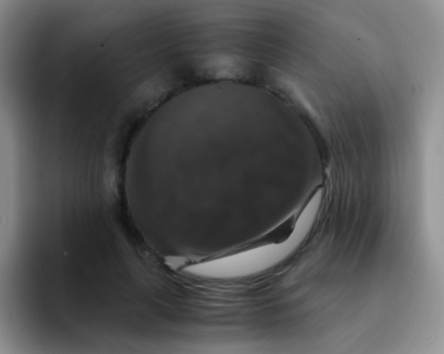 X0000091940643200709261933