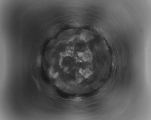 X0000091940647200709261933