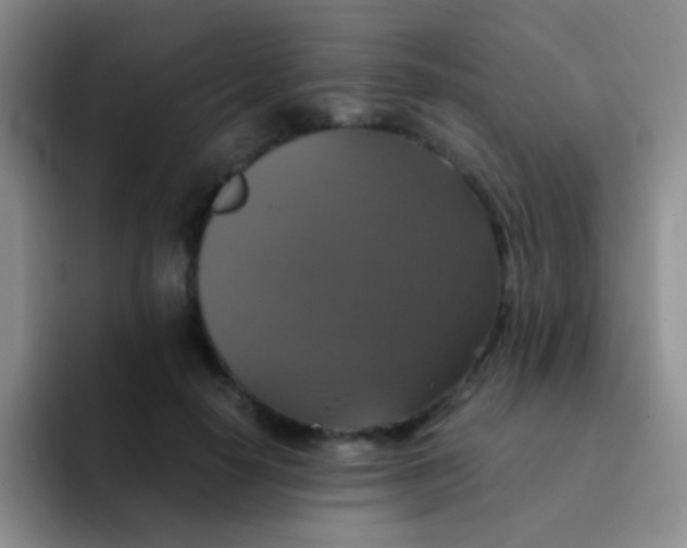 X0000091940650200709261933