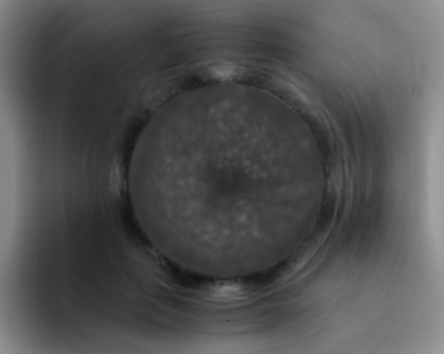 X0000091940651200709261933