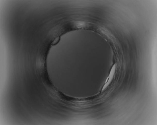 X0000091940653200709261933