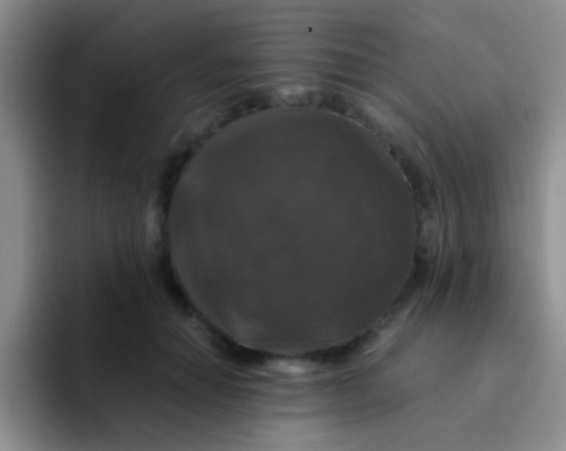 X0000091940654200709261933