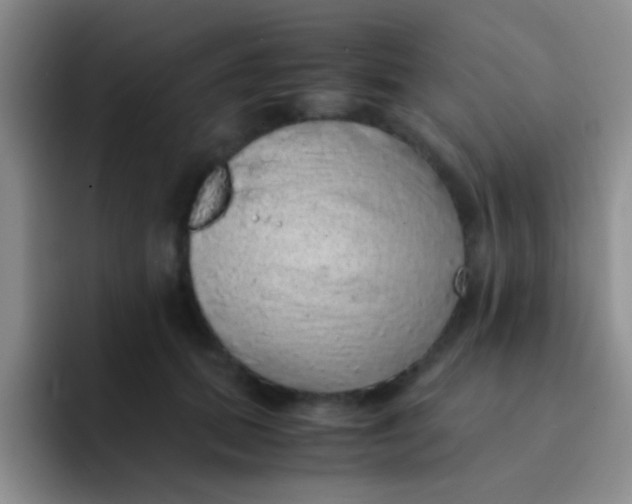 X0000091940655200709261933