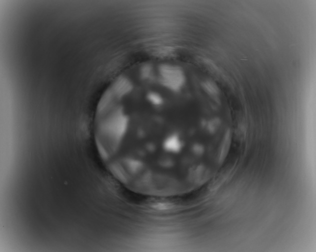 X0000091940658200709261933