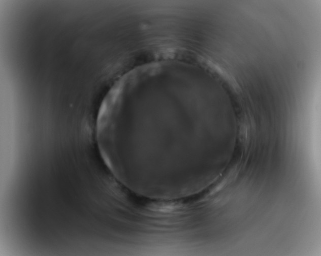 X0000091940661200709261933