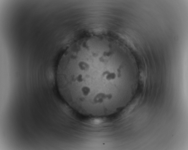 X0000091940662200709261933