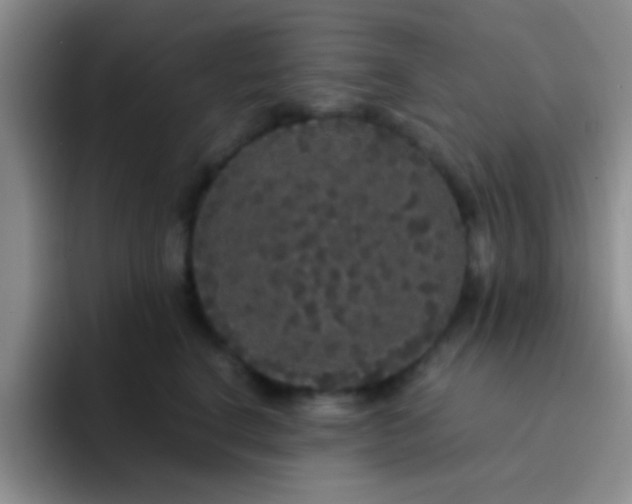 X0000091940664200709261933