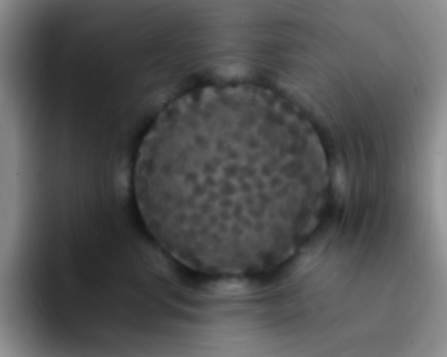 X0000091940668200709261933